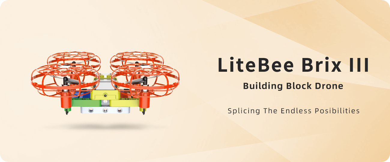 LiteBee Brix III